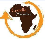 Association Gazelle Harambee